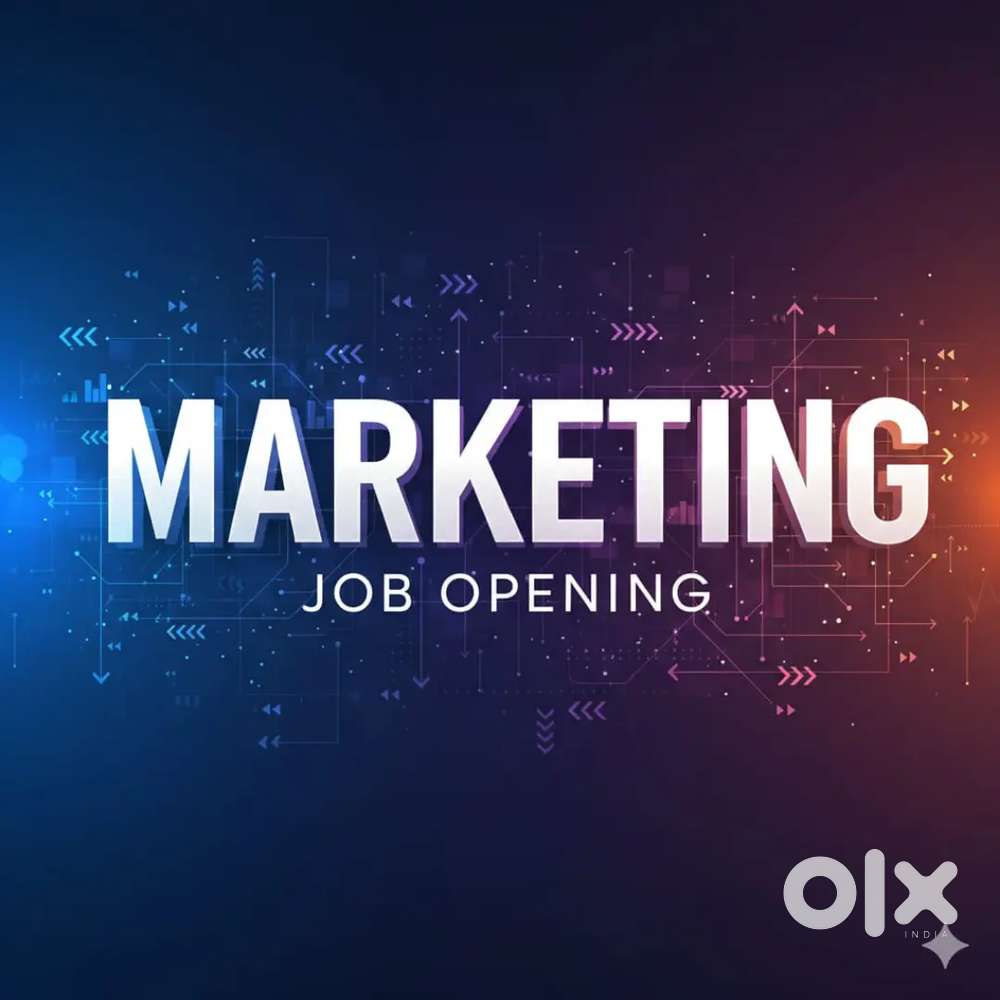 Delivery Executive needed