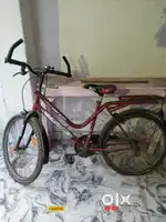 Avon cycle