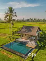 Contact for Agriculture Land/Plots in Navsari District
