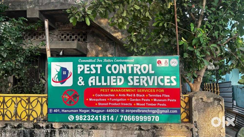 Best Pest Control Pune