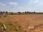 Hotel Approved Commercial land for sale in Sawai Madhopur