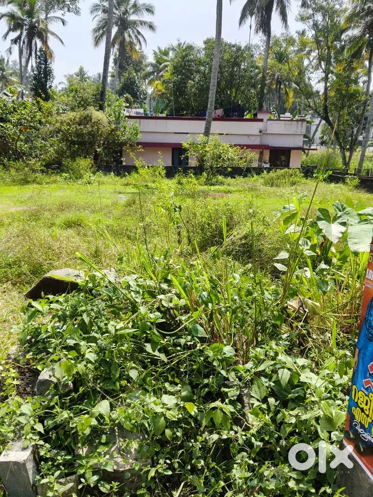 Squre plot for sale in old karakkamandapam 500 mtr distance