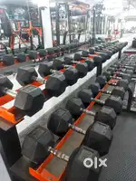 Masters gym