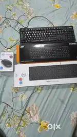 Keyboard and mouse