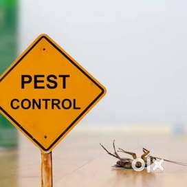 PEST CONTROL 1 BHK 1299 Rs