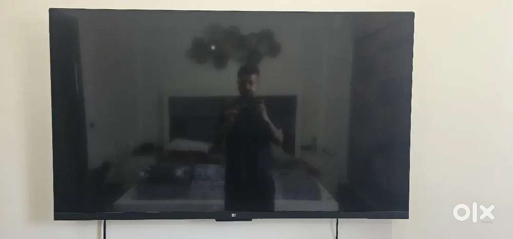 Mi LED TV 4 Pro (55)