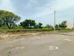250 Gaj Green Belt plus 24 meter road (प्राइम लोकेशन)