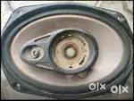 Pioneer ovel speaker