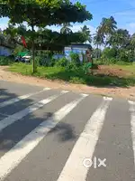 1cent plot for sale