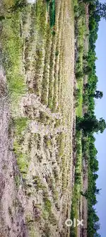 General plot for sale