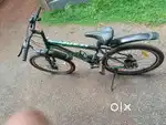 Just 2 month old leader cycle