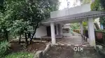 3 bhk independent house for rent