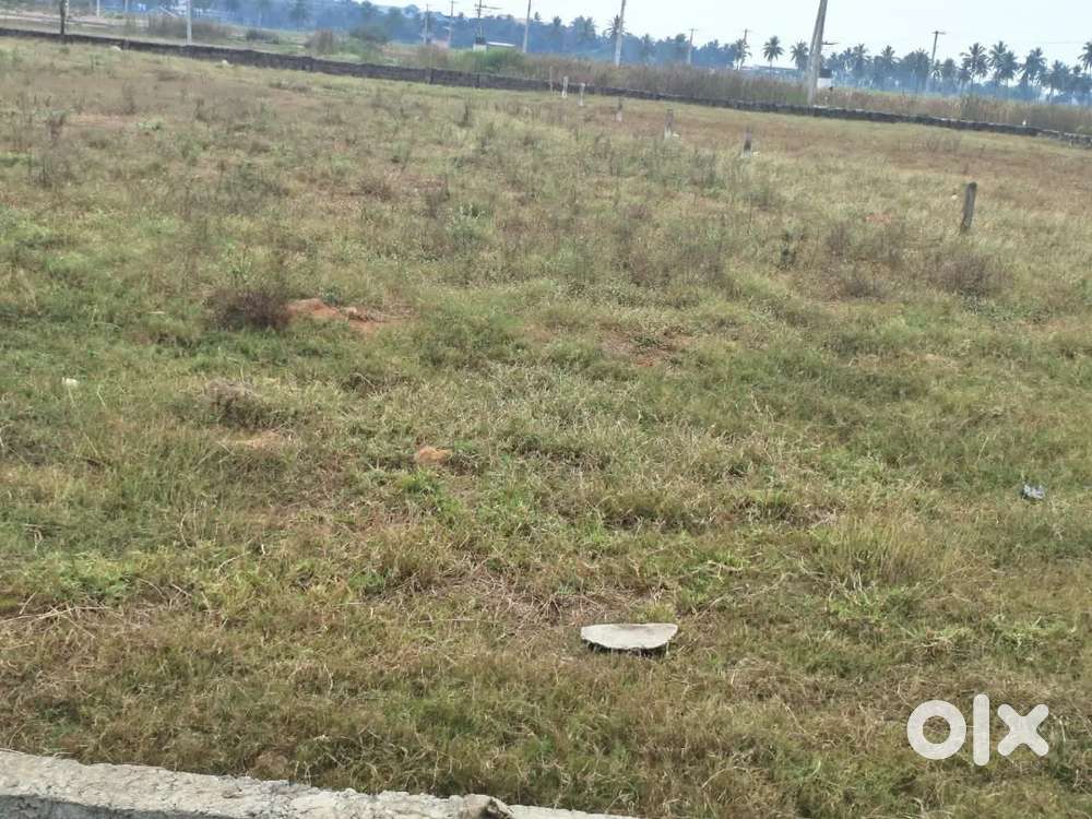 Layout plot near Tadepalligudem D Mart for sale