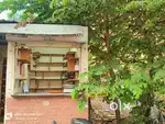 Mini shop for rent