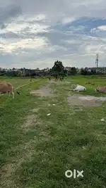 100 metres from Sahastradhara Road  R3 Plot  198 gaj
