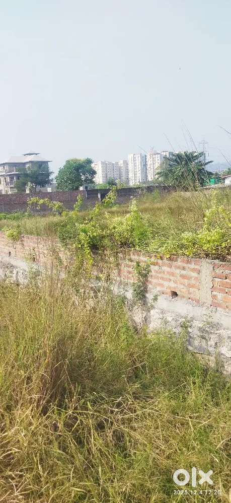 3KOTHA  Miyadi, Rs. 62Lacs per Kotha, Ahomgaon-Lokhara Area.