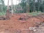 Vacant land for lease