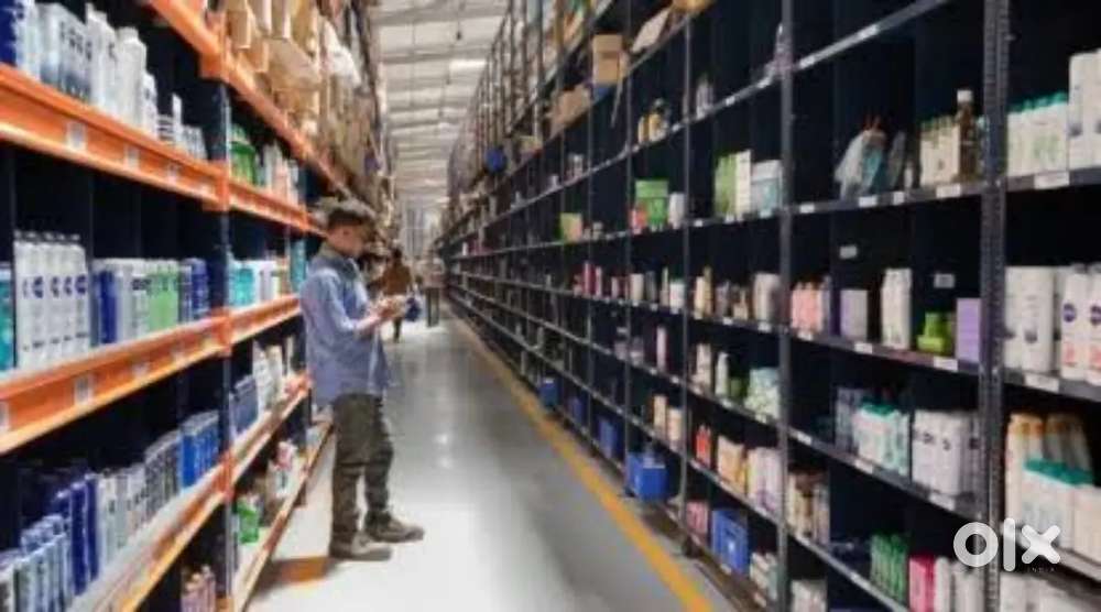 Wanted male/female packing helpers with food/ accomdation