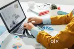 Tally Executive/ Accountant
