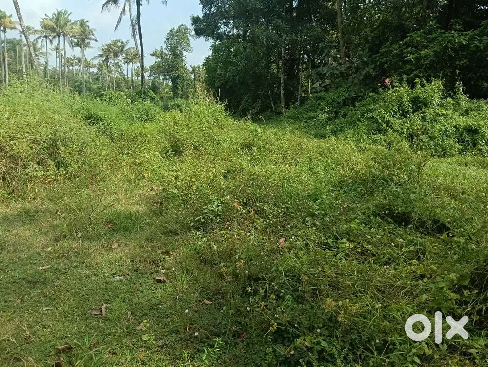 ഇരിഞ്ഞാലക്കുട velagalooril 3 സെന്റ് സ്ഥലം വില്പനക്ക്