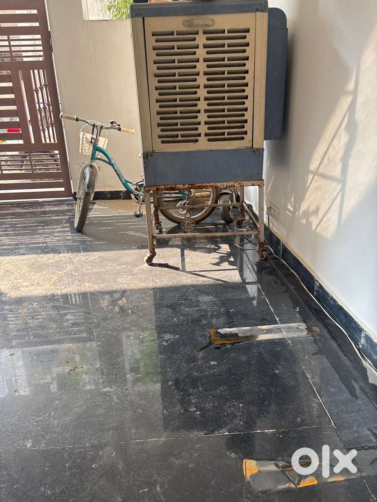 Cooler with cooler stand