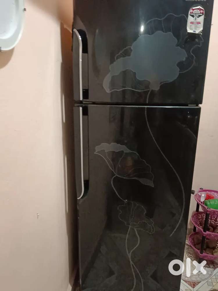 Sell my old freeze