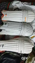 Club, 360cricket ,protos