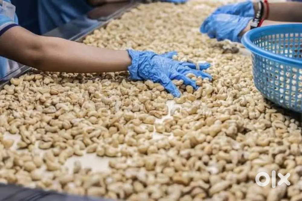 Wanteed partime warehouse packing helpers