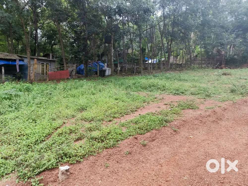 Plot for sale 4.8 cent