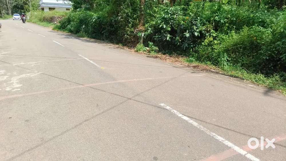 മാമ്മൂട് 12 cent house plot.3.75 .lakh. bus rode