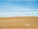 14 cents land for sale in Doddannagudde udupi for 6.75 L per cents