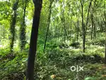 Ponkuntham.pala.3.acare.centinu.40000