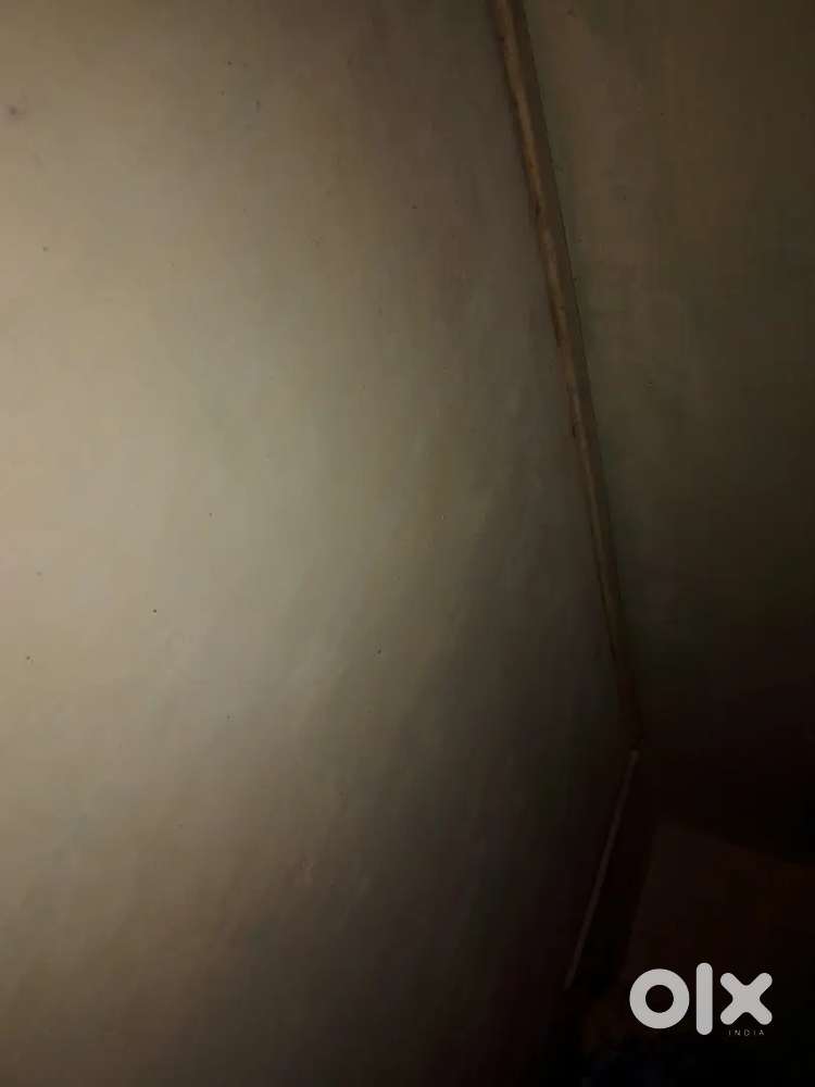 2 सिंगल रूम किराए पर देना है,,,