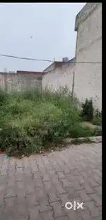 Plot for sale   urgent need money problem