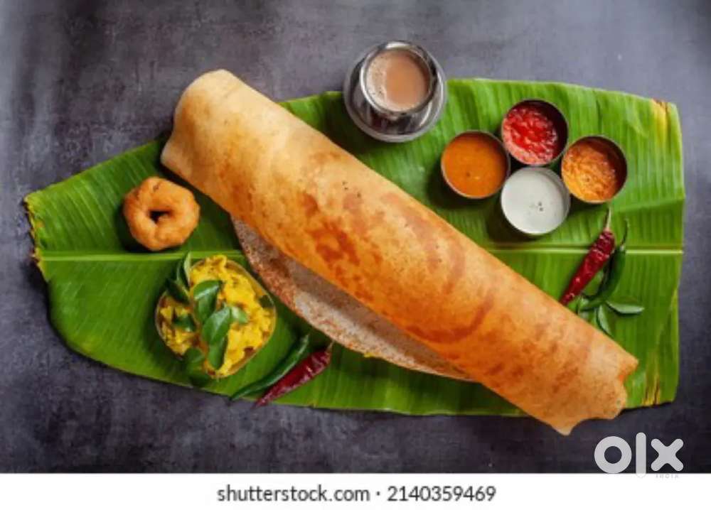 Dosa master wanted kerala