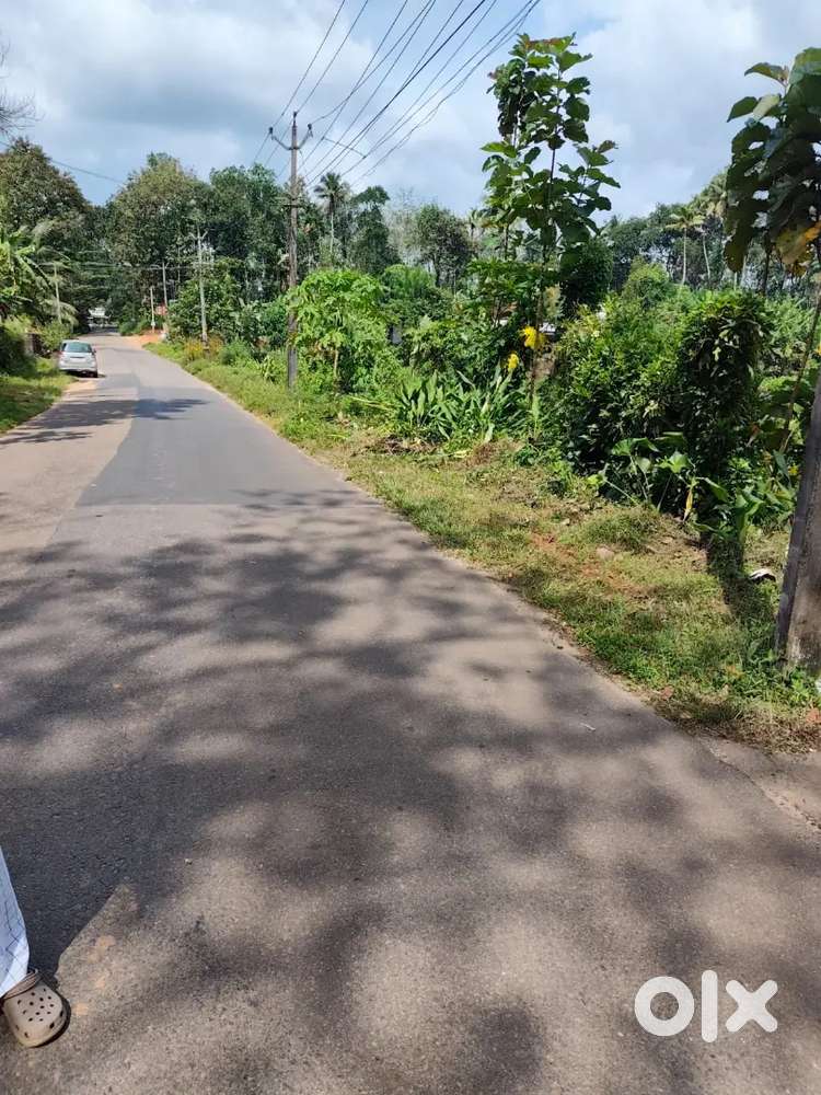 Paingottoor kothamangalam Thennathoor super house plots