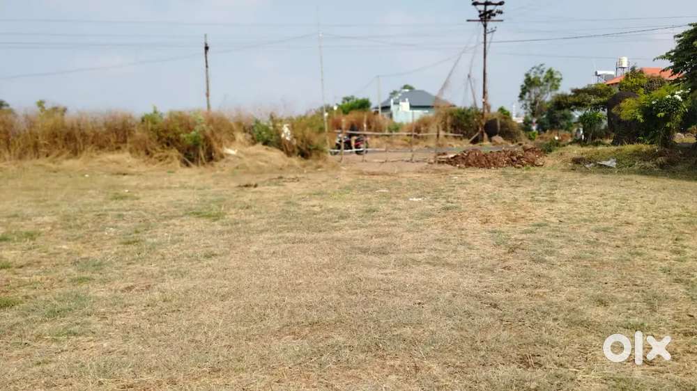 SADLE MADLE 50 GUNTAS PLOT