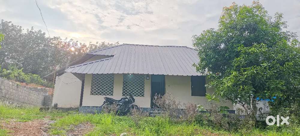 Individual house for rent direct owner