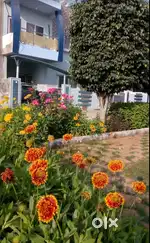 Stone Park Fruit Mandi Ke Samne