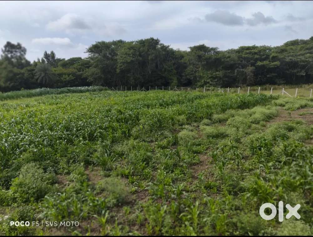 50 cents sale each cent 375000 .low balancers don't  time waste