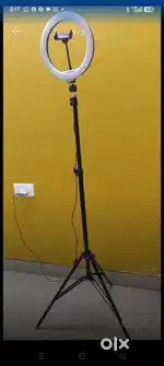 Video stand