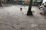 ചേർത്തല തങ്കി കവലയ്ക്ക് പടിഞ്ഞാറു വശംമെയിൻ റോഡ് സൈഡിൽ 8 സെന്റ് Sale