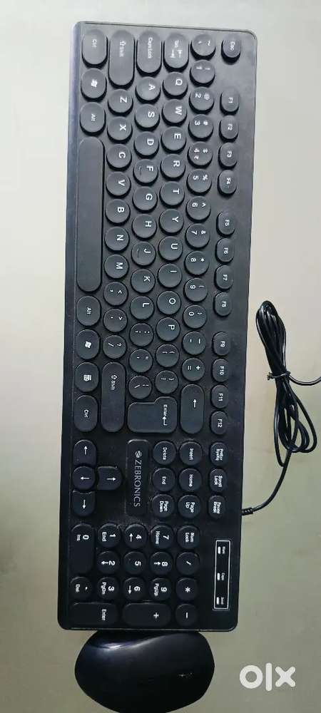 HP bluetooth mouse+ Zebronics wired keyboard newly purchased