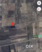 Agriculture Land for Sale