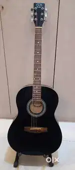 Acoustic Guitar Jack & Danny