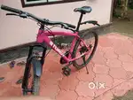 Sturdy Bike with 21 gears