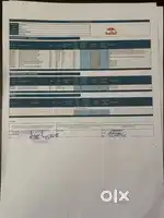 Auditing work of different companies