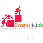 Bharat pe freelancer job dist bijnor Uttar Pradesh