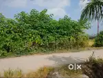 3 bigha land sale sc me h 40lakh per bigha ki deemand h