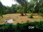 A land in chattamangalam with big road heavy vehicle road and  well